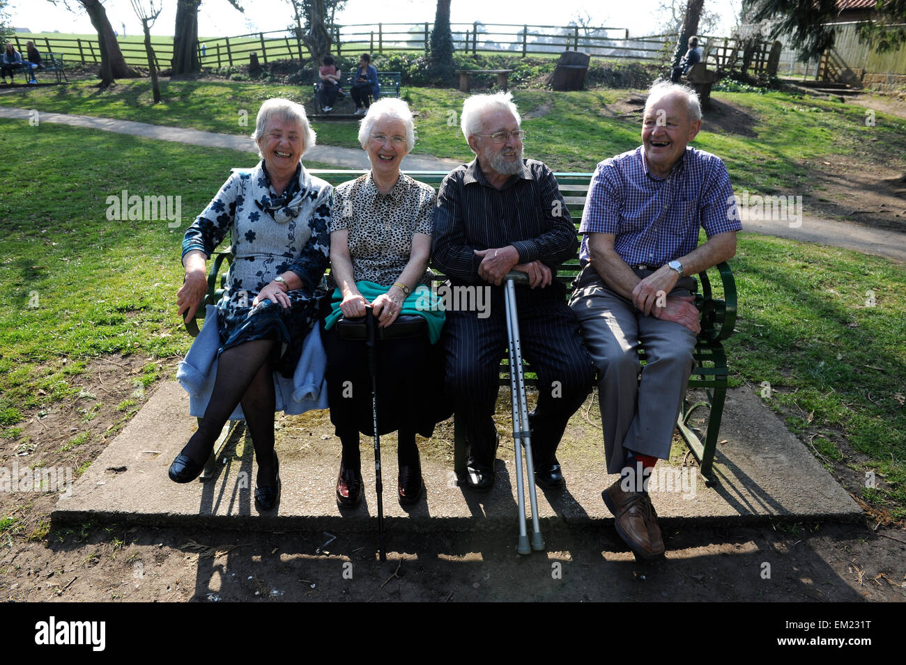 Quattro amici anziani ridere su un banco di lavoro in grande Ayton, North Yorkshire, Inghilterra, Gran Bretagna, North Yorkshire, Regno Unito. Foto Stock