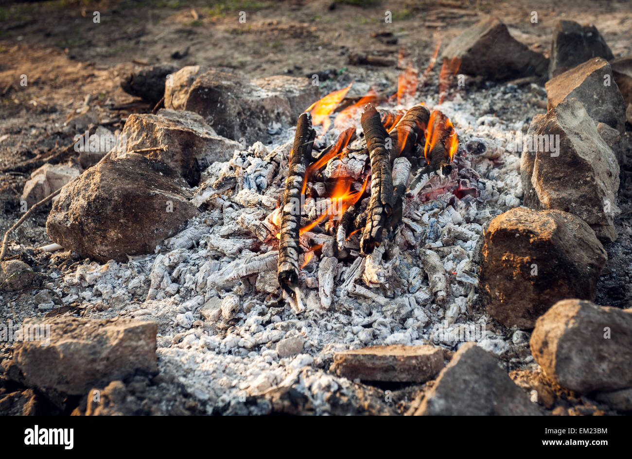 Il falò nella foresta di primavera. Carboni Ardenti. L'Ucraina Foto Stock