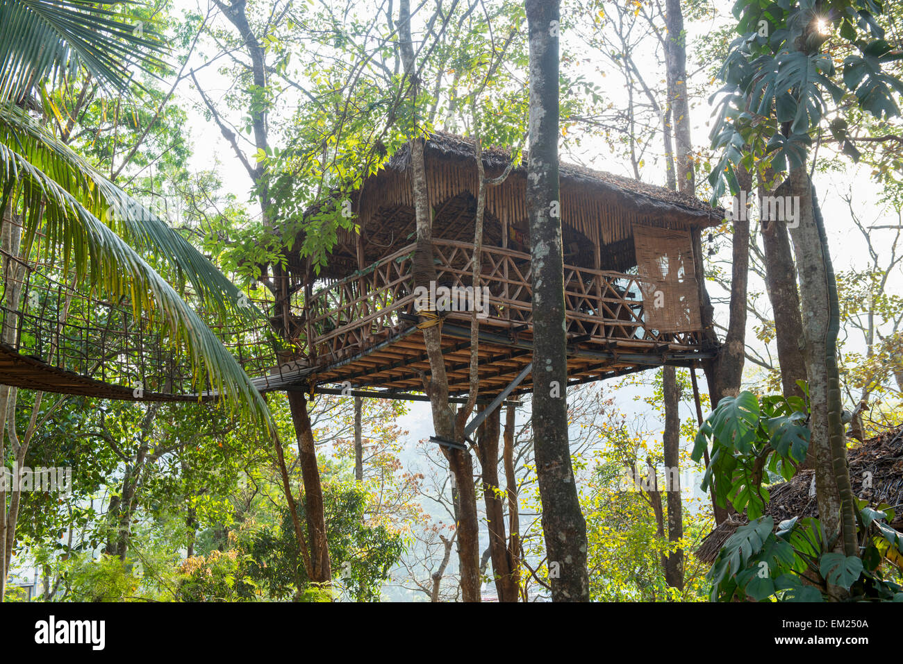 Treetop coffee shop Al Greenwoods Resort in Kumily Kerala, India Foto Stock