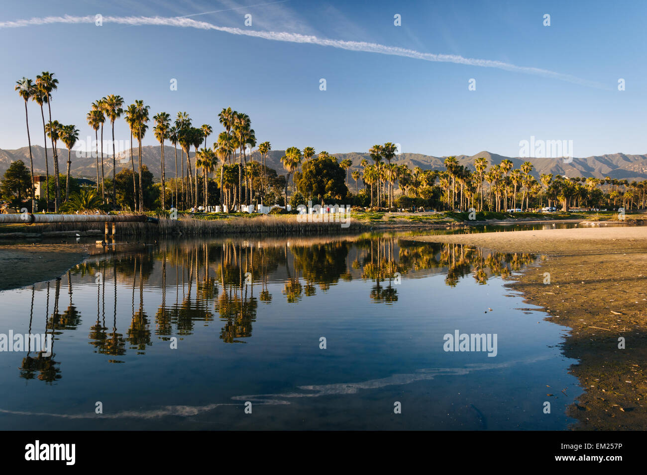 Palme riflettendo in missione Creek, a Santa Barbara in California. Foto Stock
