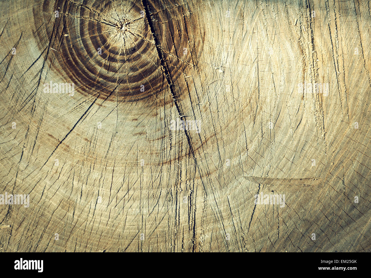 Il legno vecchio texture. pannelli di sfondo per la progettazione. albero Foto Stock