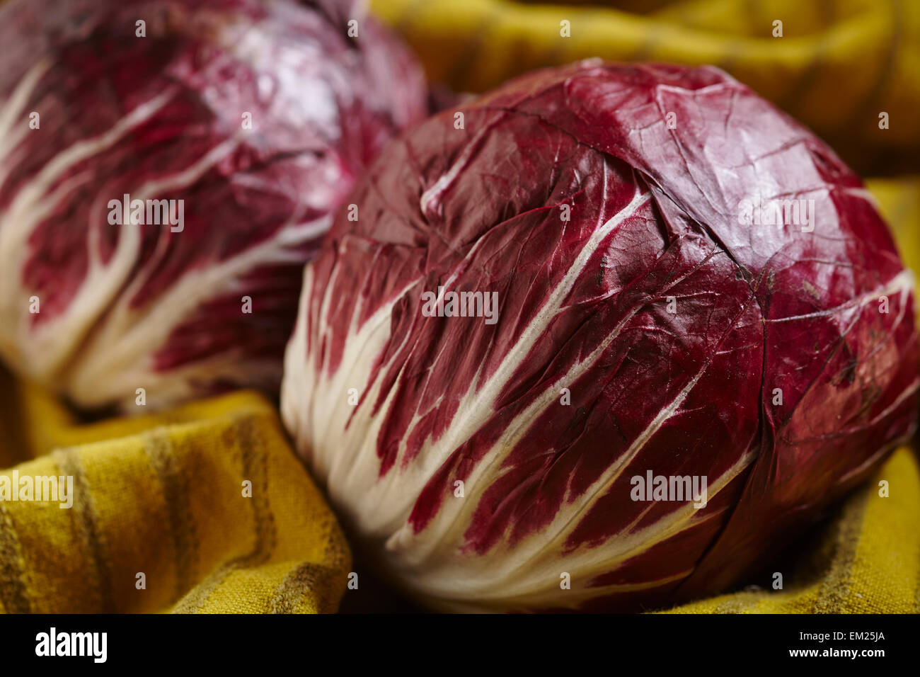 Tutto Capi Di Radicchio O Cicoria Italiana Foto Stock Alamy