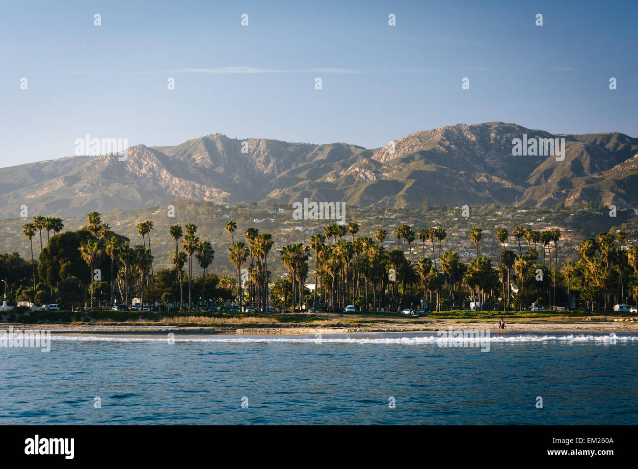Vista di palme sulla costa e sulle montagne dal Stearn's Wharf, a Santa Barbara in California. Foto Stock