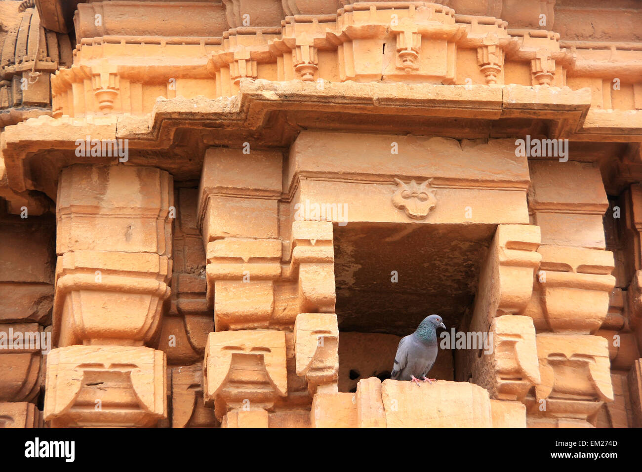 Dettaglio del tempio Jain facciata, Jaisalmer, Rajasthan, India Foto Stock