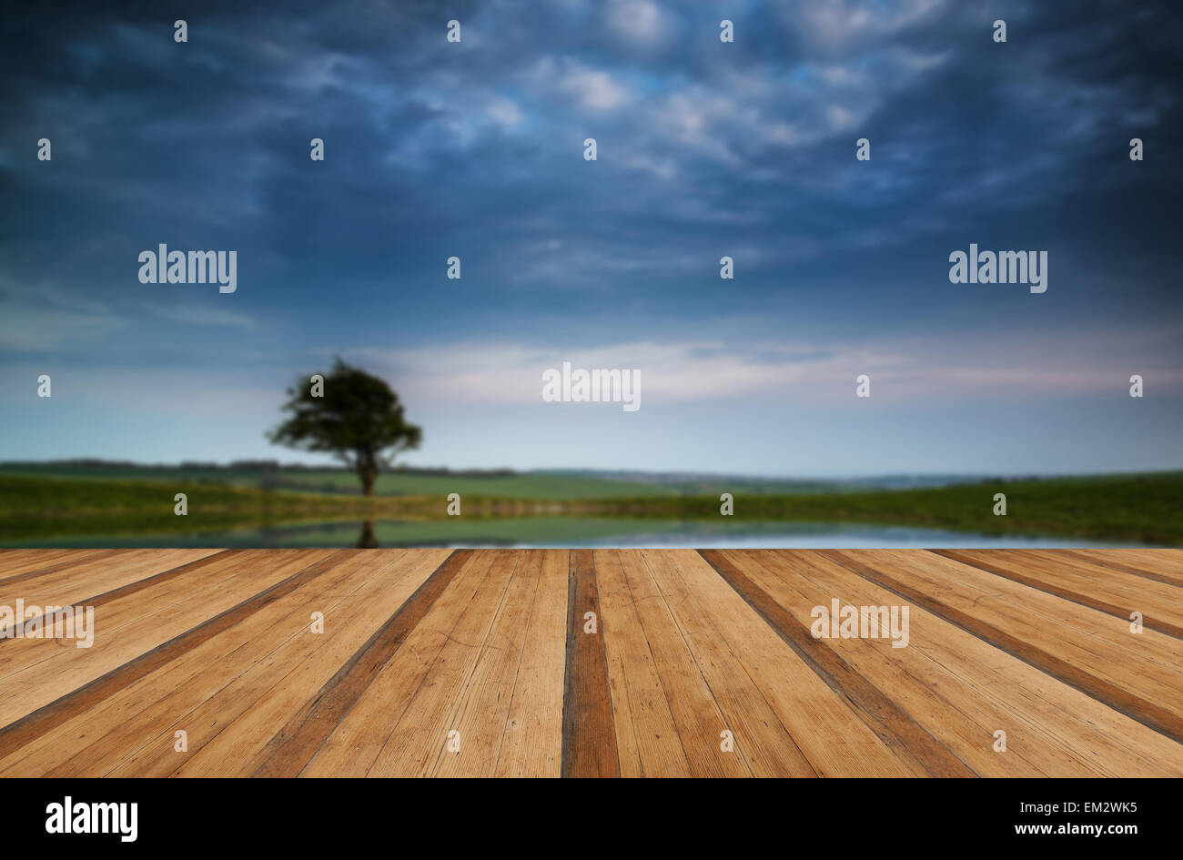 Moody cielo tempestoso riflessa in stagno di rugiada paesaggio di campagna con doghe in legno piano Foto Stock