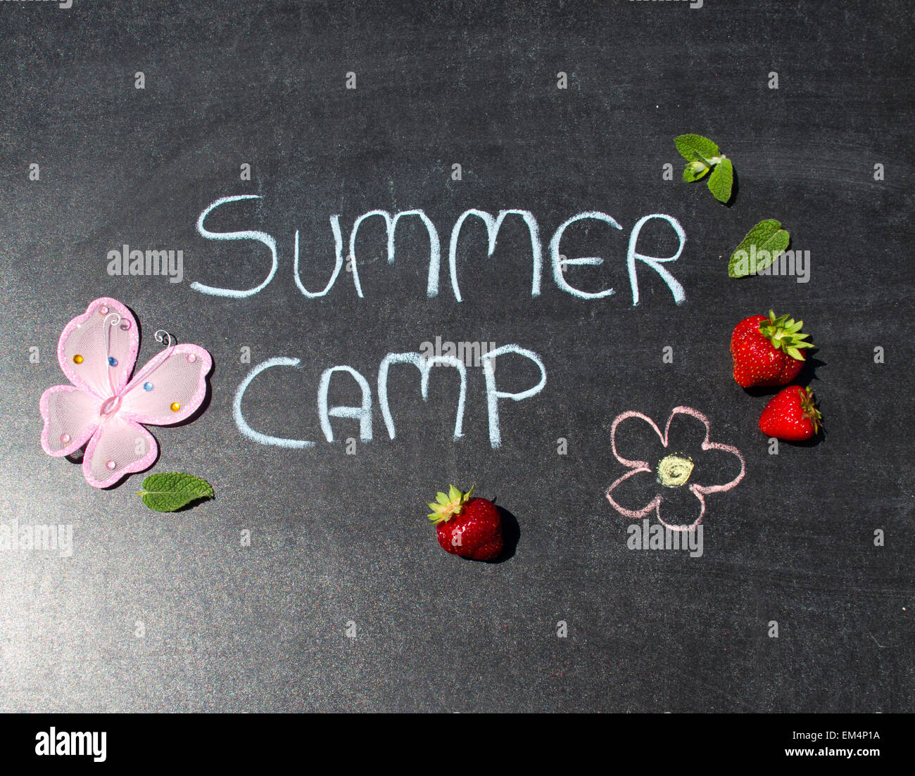 Lavagna con scritto summer camp e fragole Foto Stock