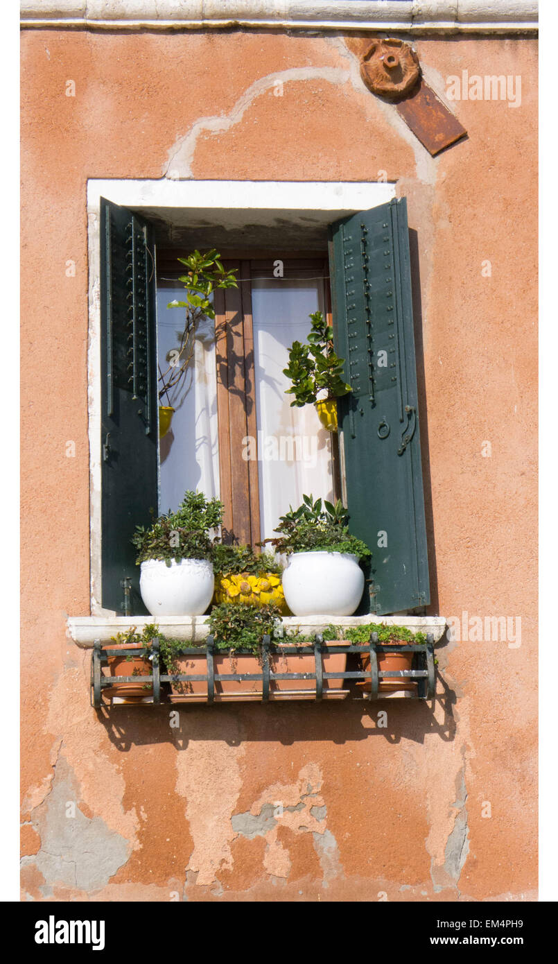 Una finestra a Venezia con i fiori sul davanzale e tradizionale edificio di  Venezia,persiane alle finestre, vasi per fiori Foto stock - Alamy