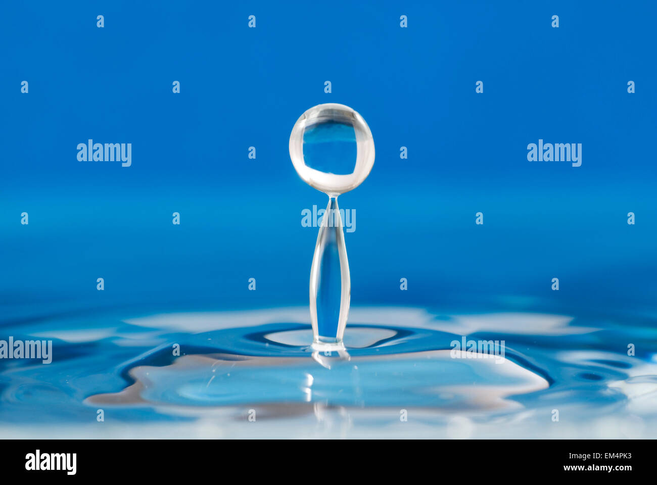 Wassertropfen, blauer Hintergrund | blu acqua con jumping waterdrop Foto Stock