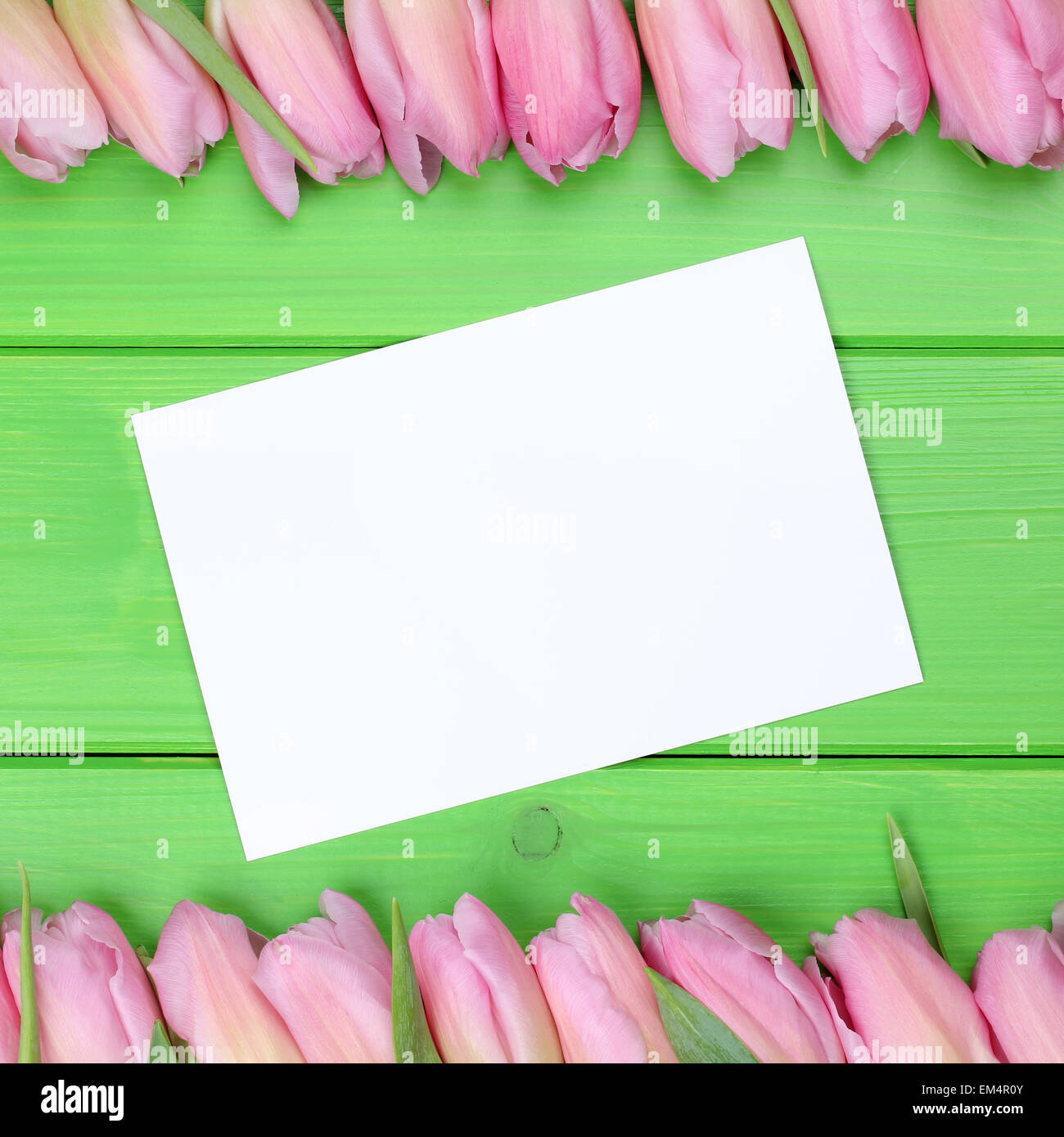 I tulipani fiori in primavera con biglietto di auguri e copyspace per il proprio testo Foto Stock