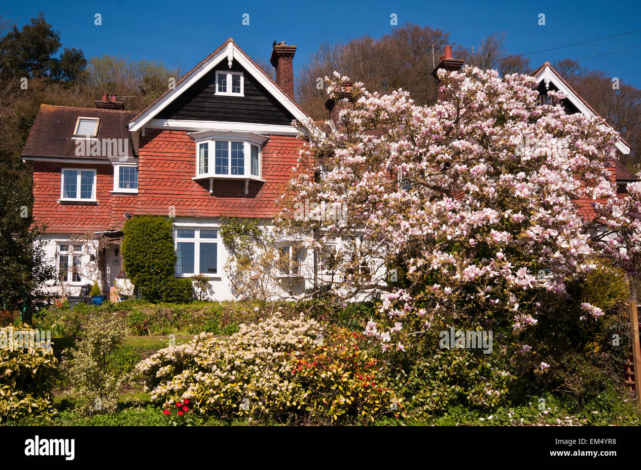 Casa di campagna con un albero di magnolia in fiore nel giardino anteriore Foto Stock