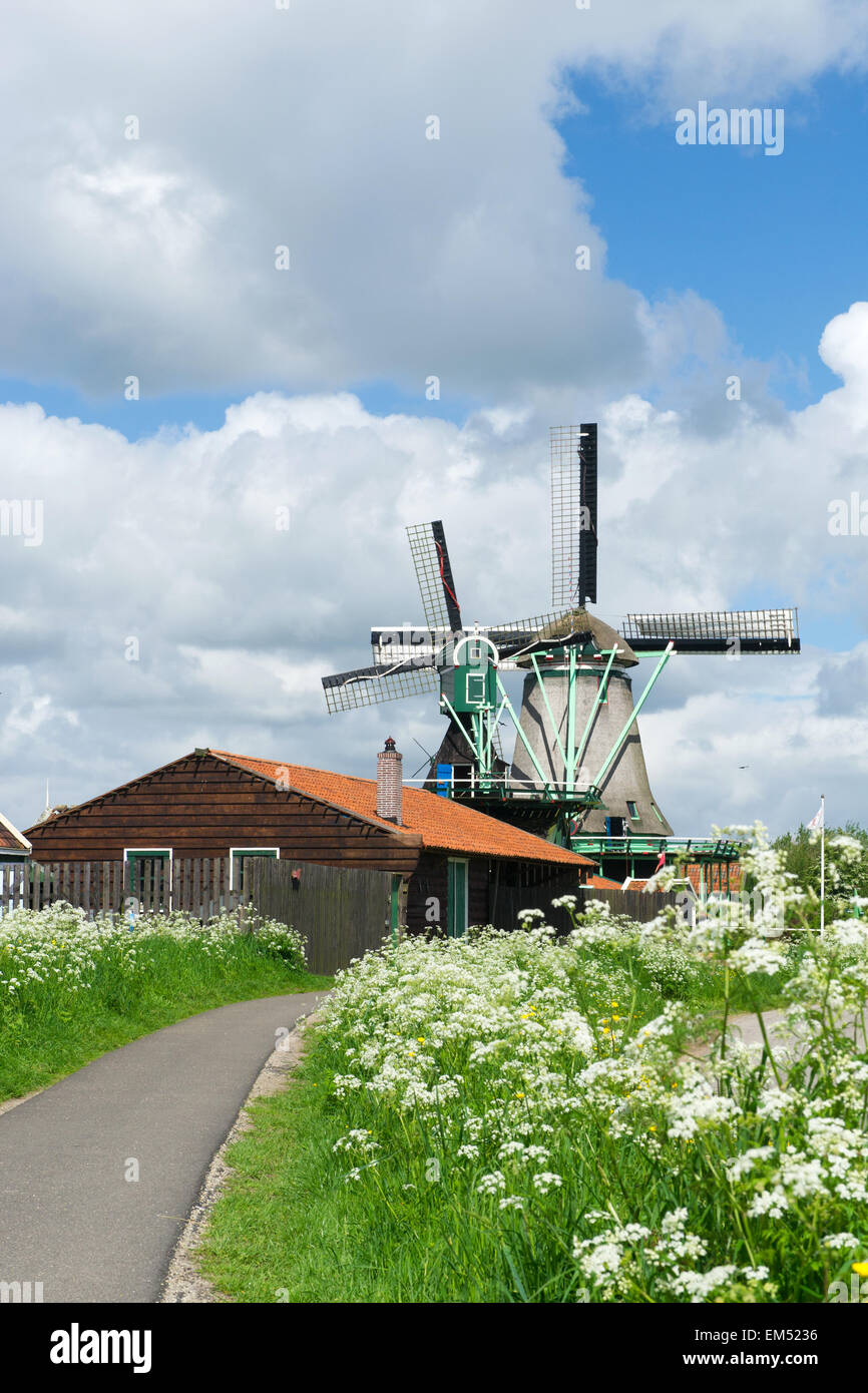 Mulini a vento in Olandese Zaanse Schans Foto Stock