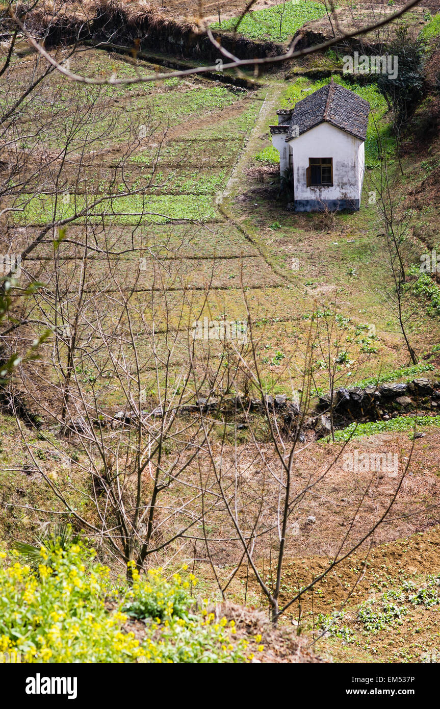 Orientale paesaggio pastorale Foto Stock