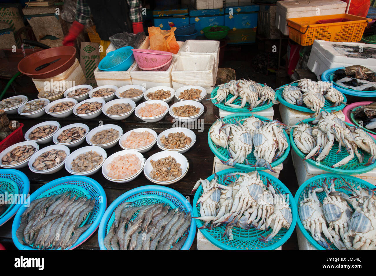 Corea del Sud, Busan, frutti di mare sul display al mercato del pesce Foto Stock