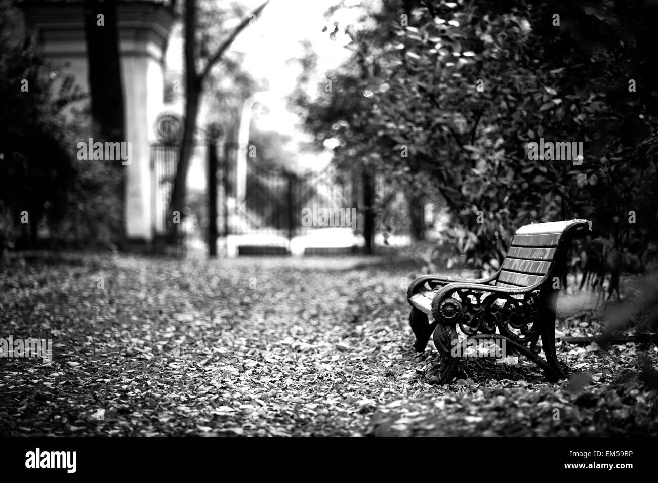 Panca in legno in autunno park Foto Stock