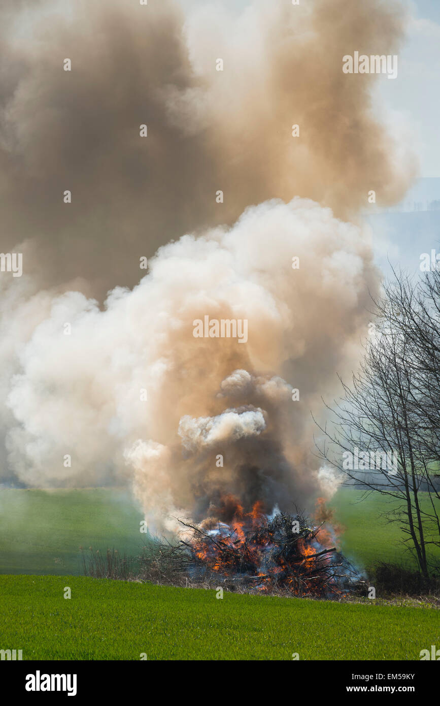 Un falò in un campo, Herefordshire, Inghilterra. Foto Stock