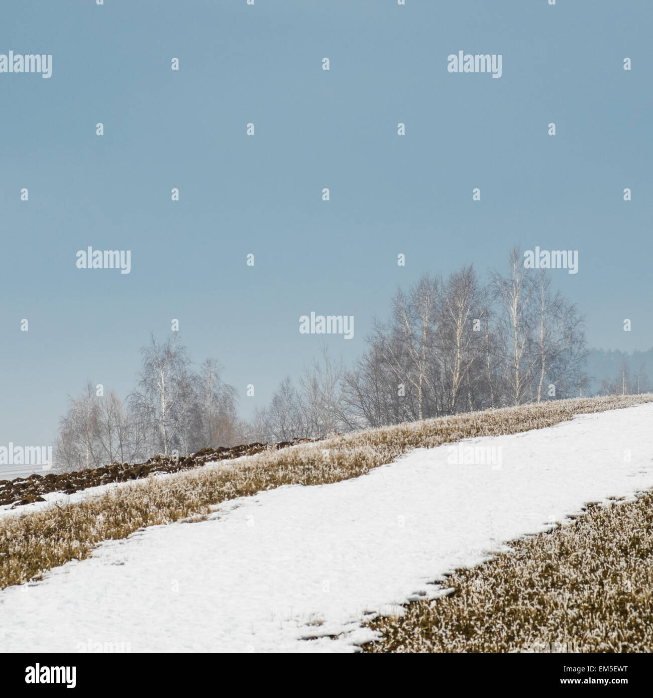 Nebbioso giorno in inverno, il paesaggio con la neve e gli alberi. Foto Stock