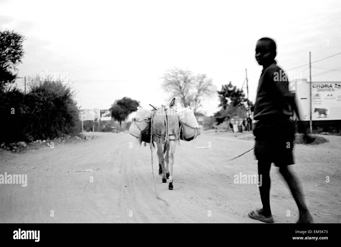 Un uomo che trasportano taniche di acqua in un asino. Ikutha, Kitui, Kenya. Le donne e i bambini sono quelli che portano acqua o legna da ardere. Foto Stock
