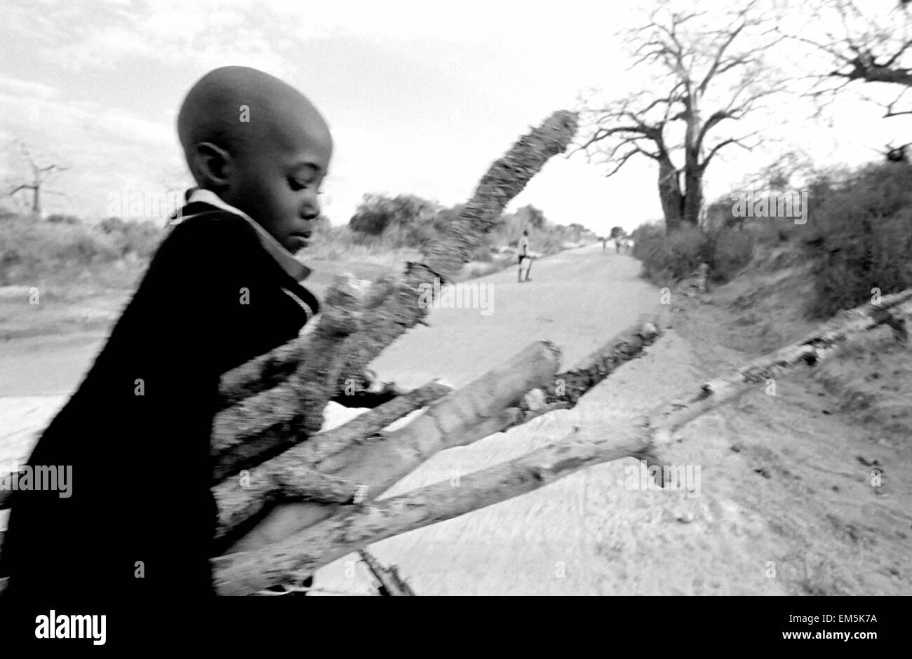 Un bambino che porta legna da ardere. Ikutha, Kitui, Kenya. Le donne e i  bambini sono quelli che portano acqua o legna da ardere. Sebbene il Kenya è  p Foto stock - Alamy