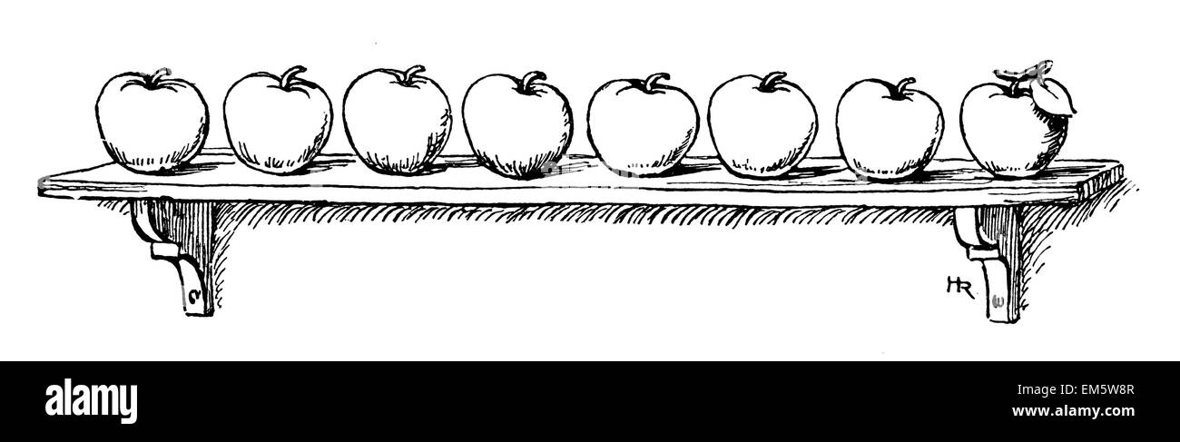 Scheda con fila di mele Foto Stock