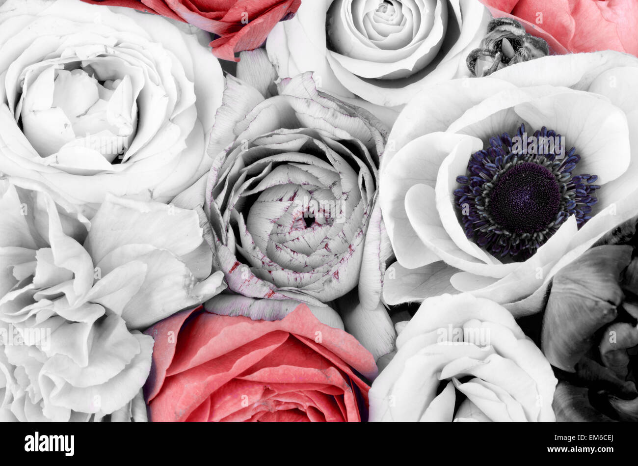 Incredibile colorati bouquet di fiori da vicino Foto Stock