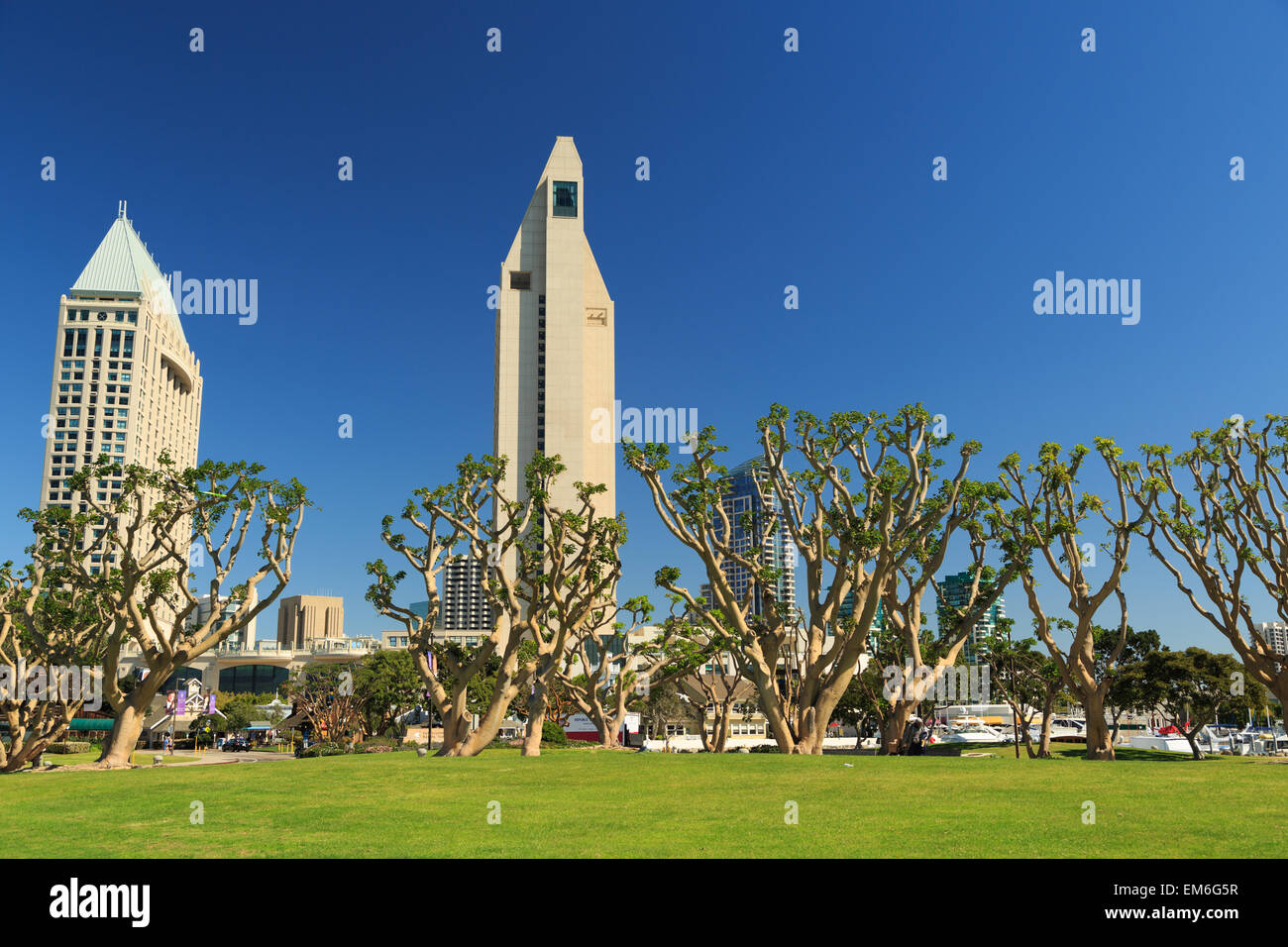Una fotografia di alcuni edifici alti in San Diego come si vede dal parco al Seaport Village. Foto Stock