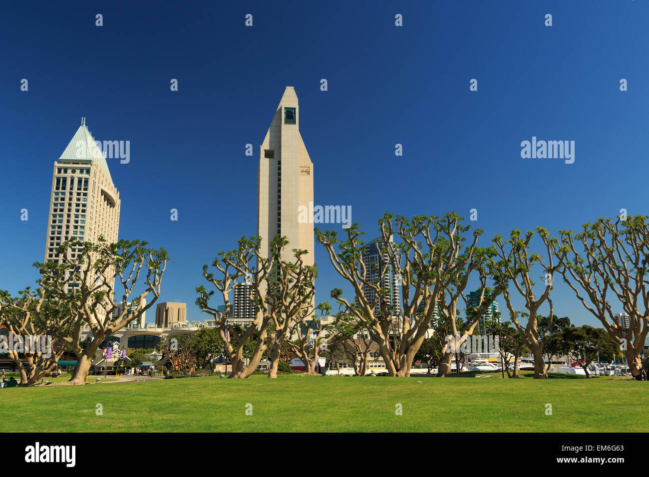 Una fotografia di alcuni edifici alti in San Diego come si vede dal parco al Seaport Village. Foto Stock
