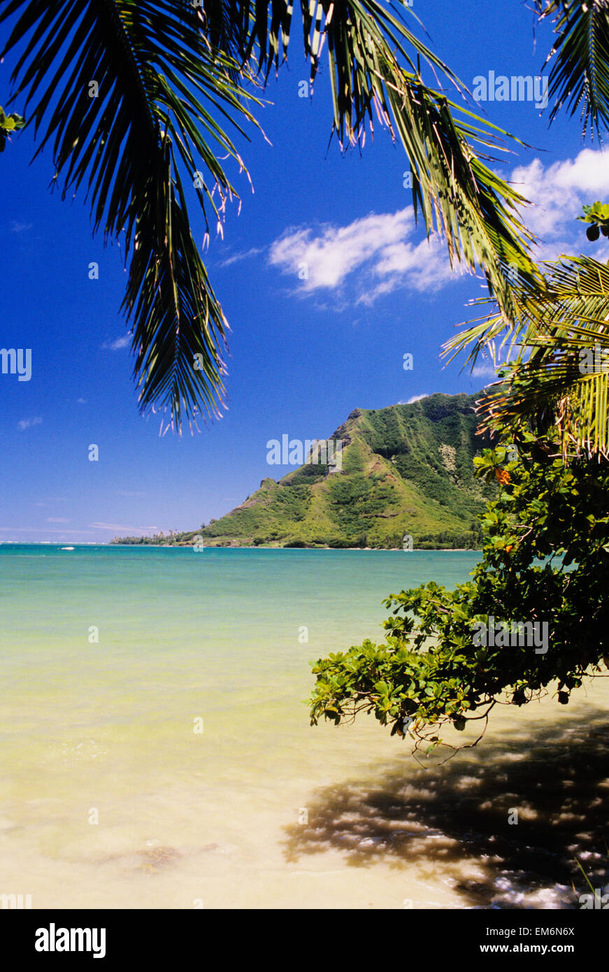 Stati Uniti d'America, Hawaii, Oahu, Spiaggia sopravento; Kahana Bay, accovacciato in Lion Foto Stock