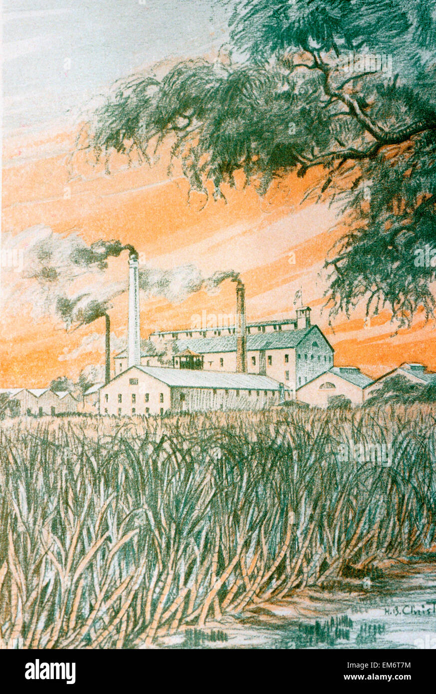 C.1926, M.P. L'arte cristiana, Hawaii, Duatone illustrazione del campo di canna da zucchero e di raffineria. Foto Stock