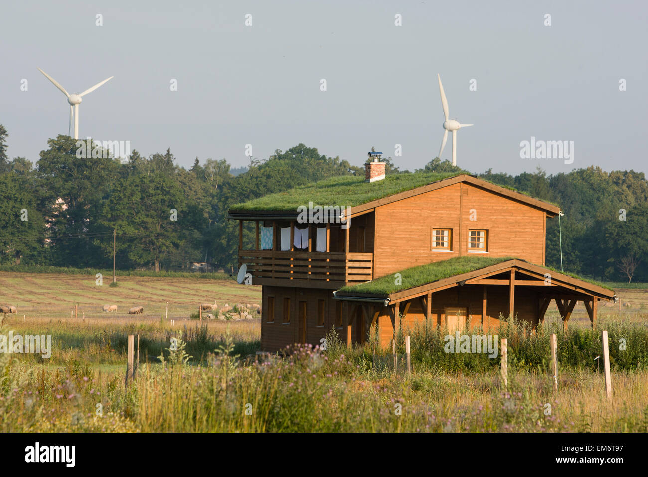 Case sostenibile con tetti verdi in Jind?ichovice pod Smrkem, nel nord della Repubblica ceca. Foto Stock