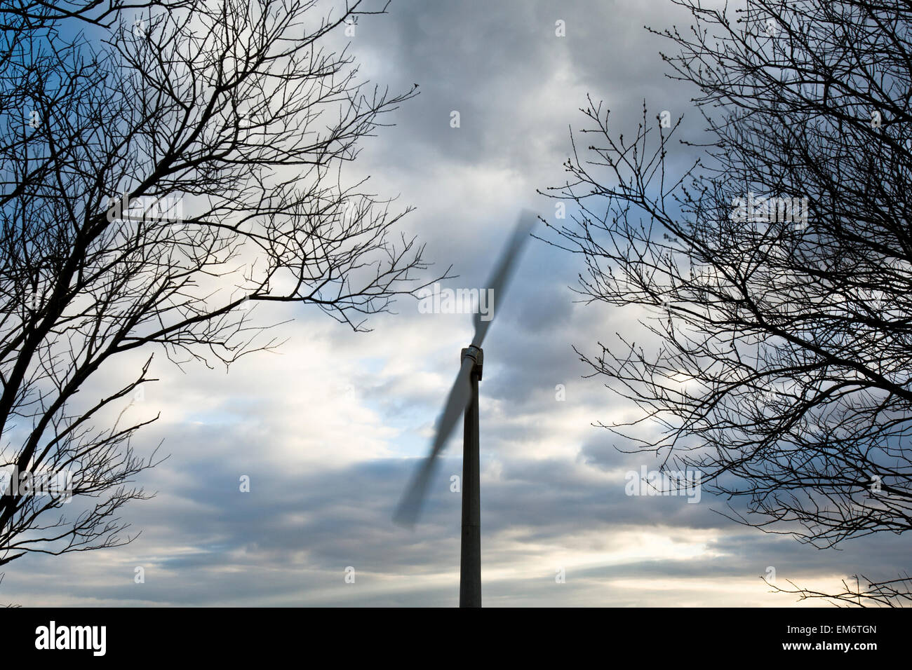 Due pale della turbina eolica incorniciata dagli alberi si trasforma nel vento vicino Delabole, Cornovaglia nel Regno Unito. Foto Stock