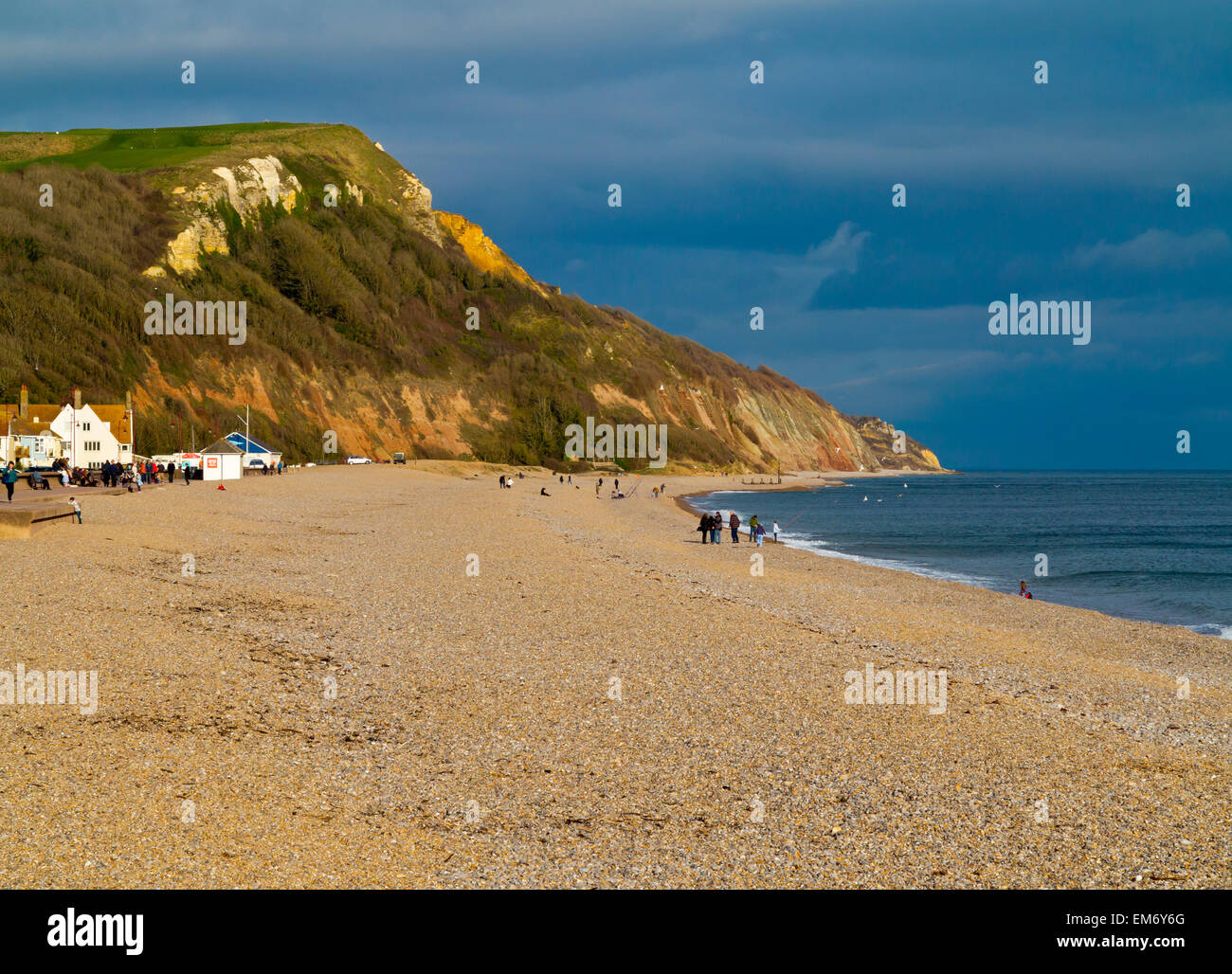 Vista dalla spiaggia a Seaton East Devon England Regno Unito guardando ad est verso la Undercliffs Riserva Naturale Foto Stock