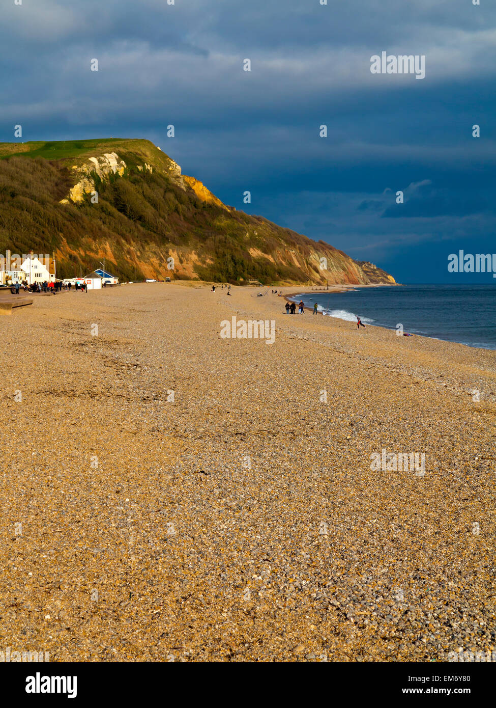 Vista dalla spiaggia a Seaton East Devon England Regno Unito guardando ad est verso la Undercliffs Riserva Naturale Foto Stock
