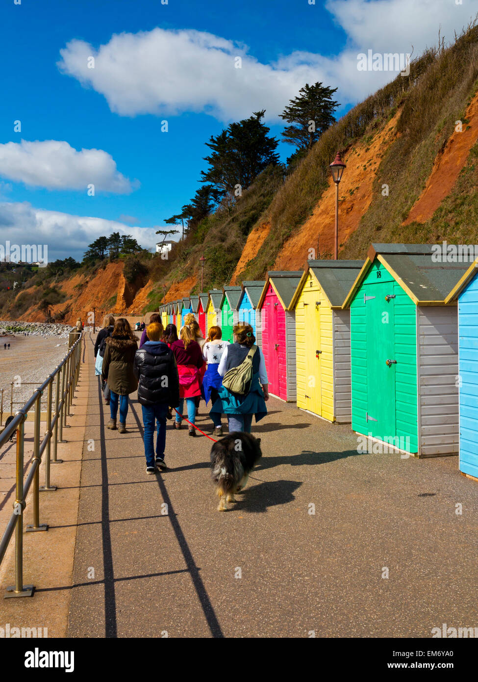 I turisti a piedi lungo la passeggiata di Seaton Devon England Regno Unito con colorate cabine mare su un lato Foto Stock