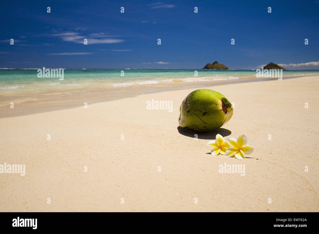 Pacific,pomeriggio,Spiaggia Spiaggia,l'arte,bellissima Foto Stock