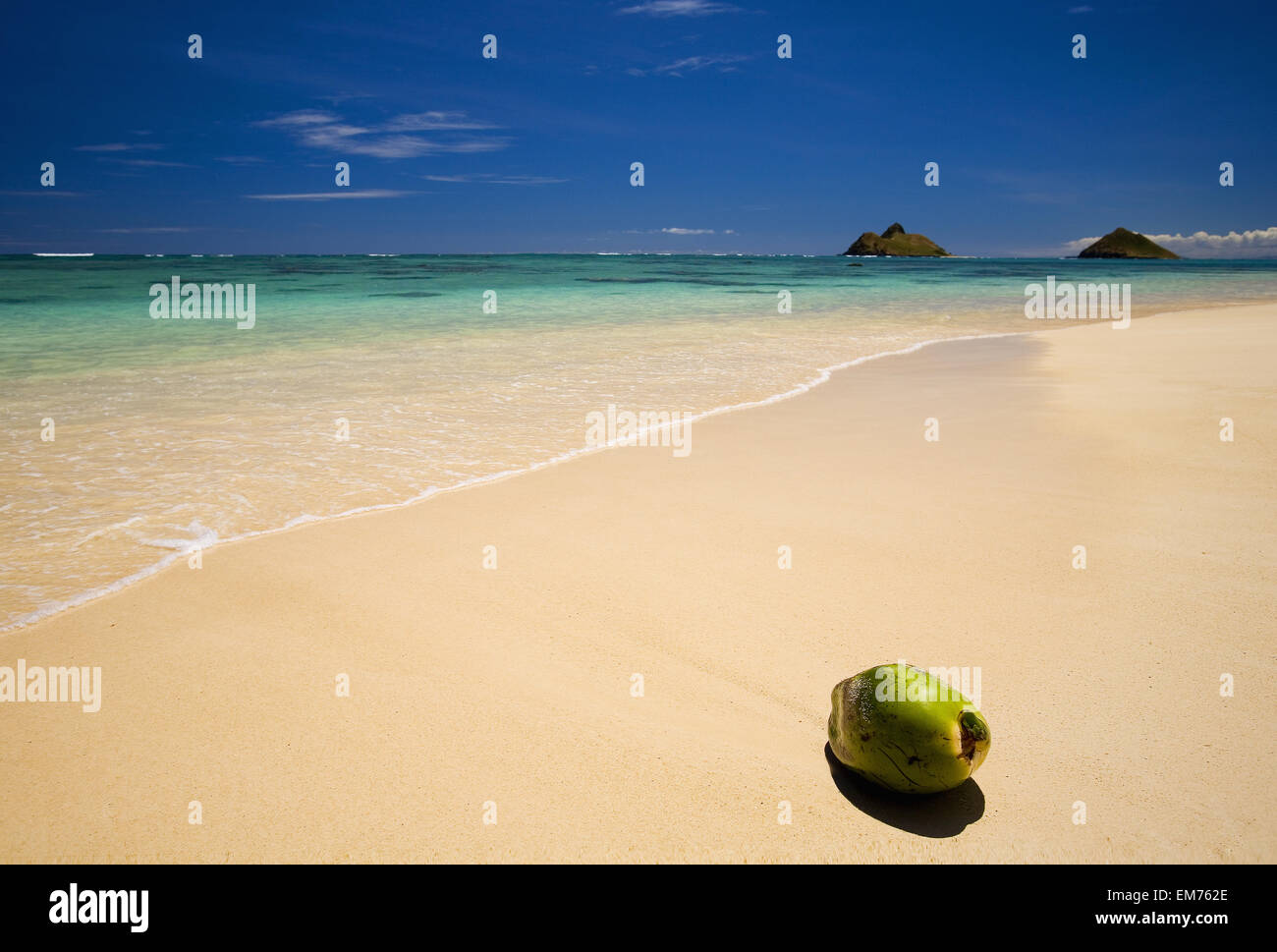 Pacific,pomeriggio,Spiaggia Spiaggia,l'arte,bellissima Foto Stock