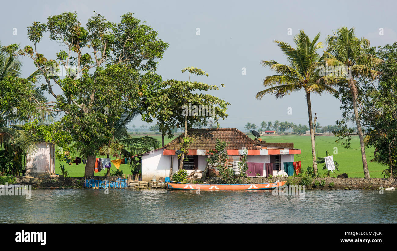 Case e alberi, risaie dietro, Backwaters canal sistema in Alappuzha, Kerala, India Foto Stock