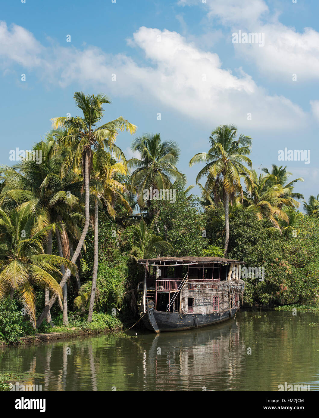 Vecchia barca, Palm tree orlata backwaters canal system, Kerala, Costa di Malabar, Sud India, India Foto Stock