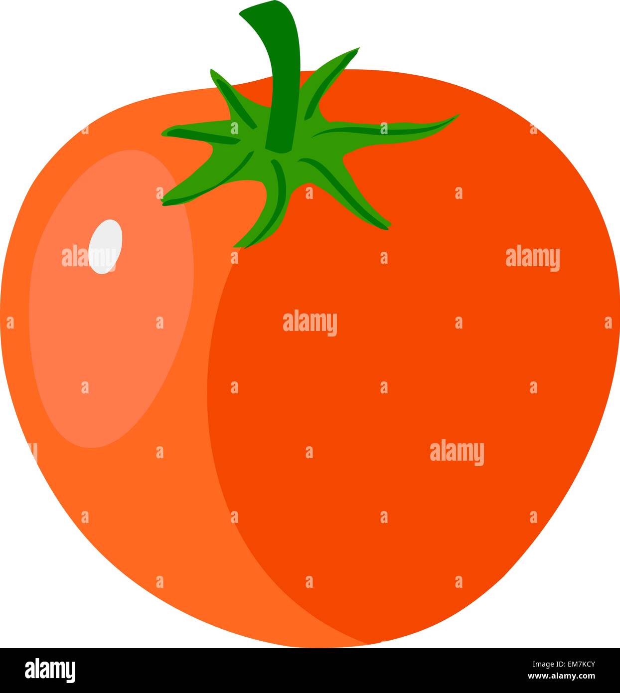 pomodoro Illustrazione Vettoriale