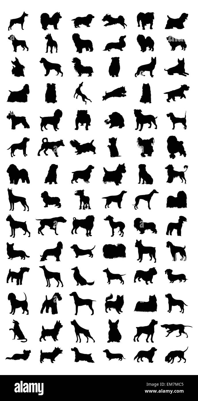 Cane Illustrazione Vettoriale