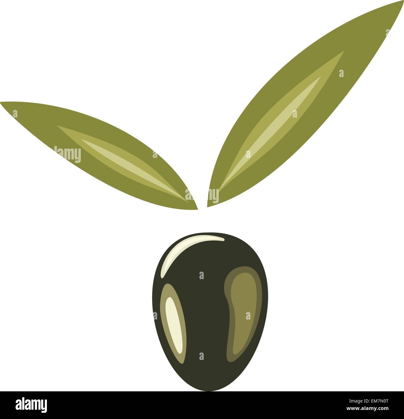 Stilizzata simbolo di oliva, icona isolato illustrazione vettoriale Illustrazione Vettoriale