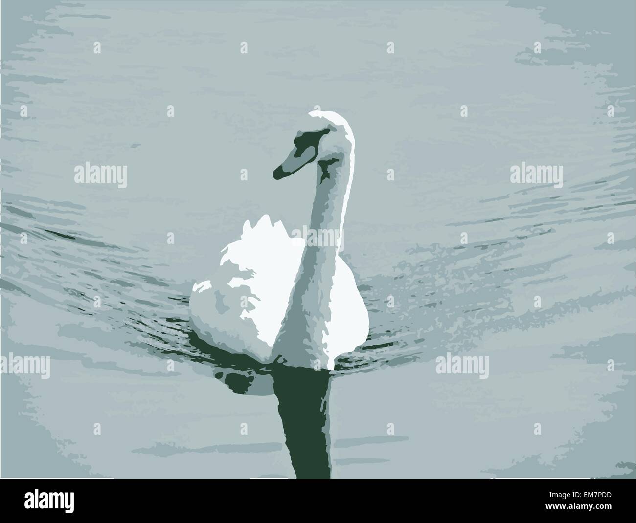 Swan Illustrazione Vettoriale