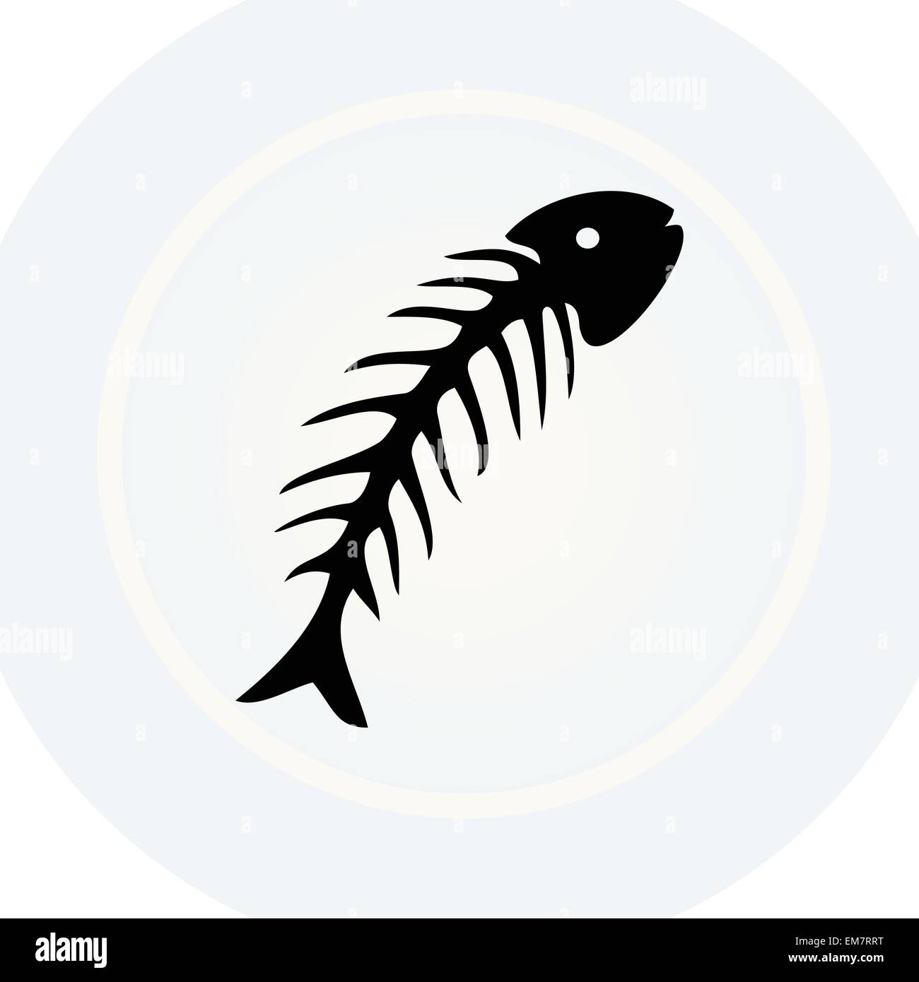 Lisca di pesce Immagine e Vettoriale - Alamy
