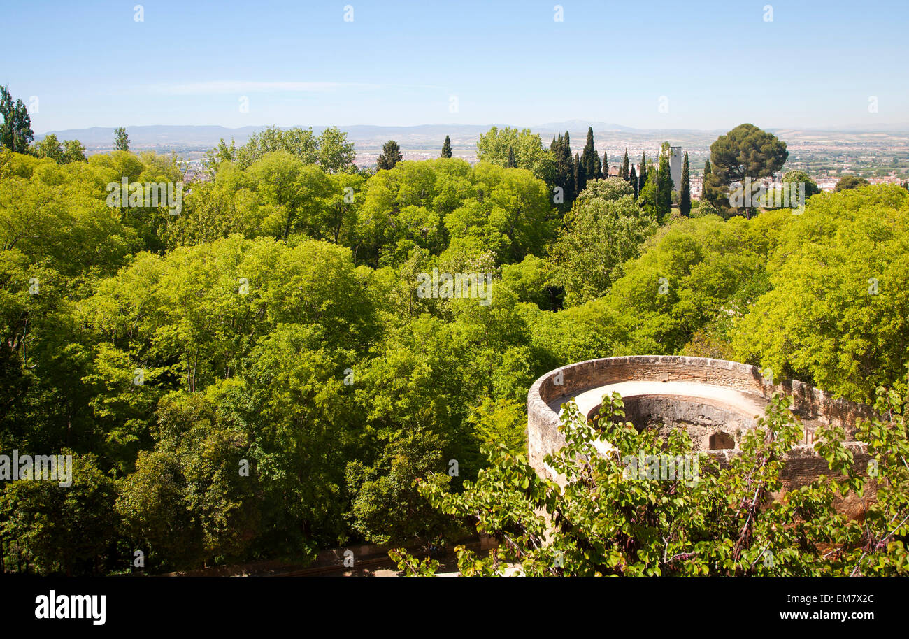 Vista su Green Tree Tops dall'Alhambra di Granada, Spagna Foto Stock