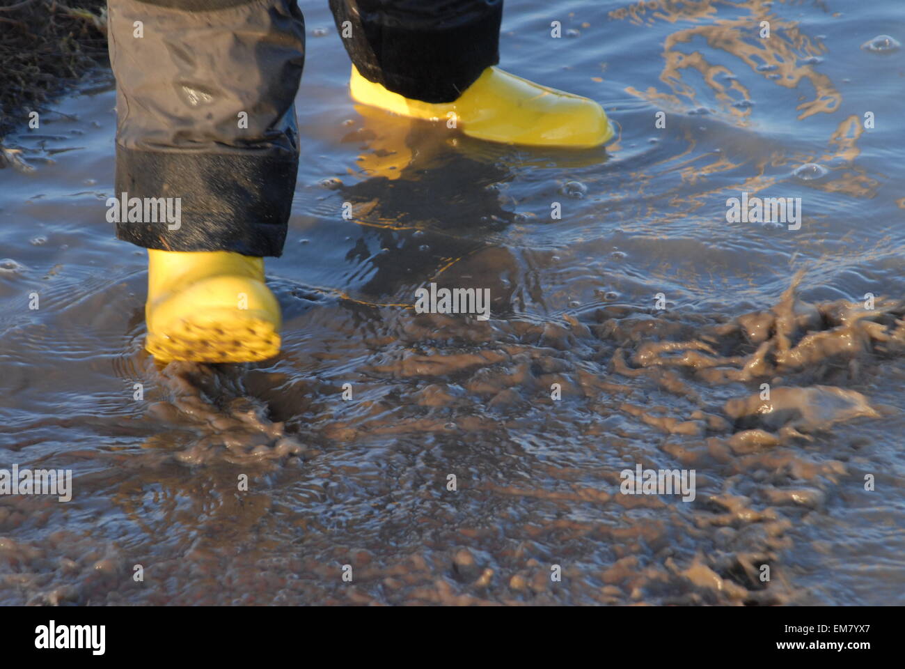 Stivali giallo nella pozza. Foto Stock