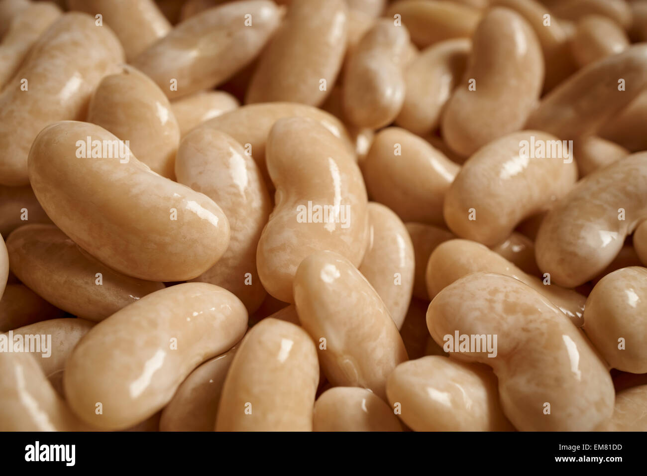 Cuocere Fagioli bianchi, chiamati anche i cannellini Foto Stock