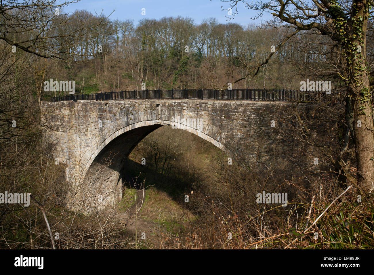 Causey Arch ponte ferroviario nella Contea di Durham. Ufficialmente conosciuta come 'il più antico sopravvissuto ponte ferroviario nel mondo". Foto Stock