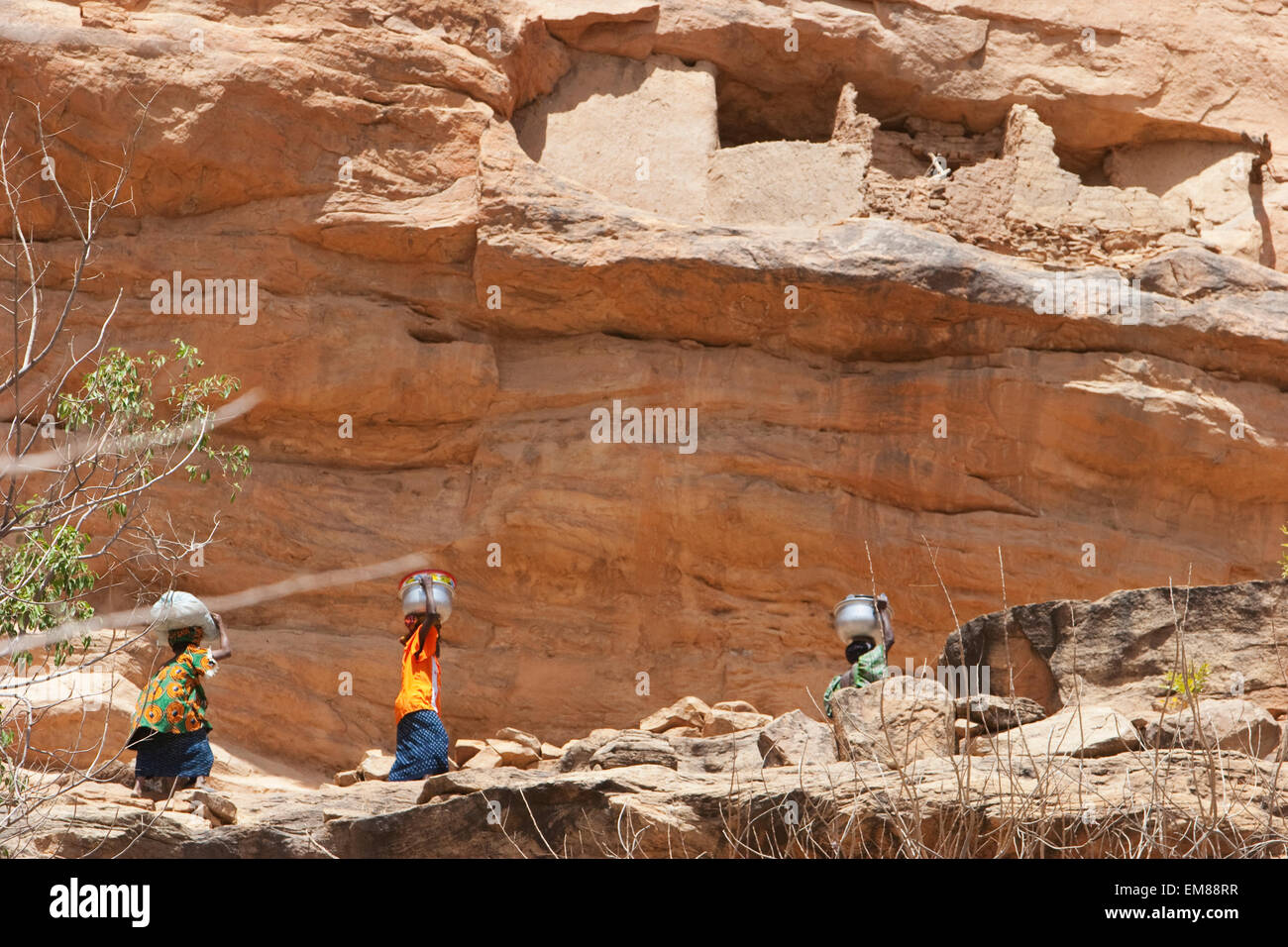 Le donne che trasportano il contenitore sulla testa in prossimità Telem case di Bandiagara scarpata, Irelli, Mopti, Mali Foto Stock