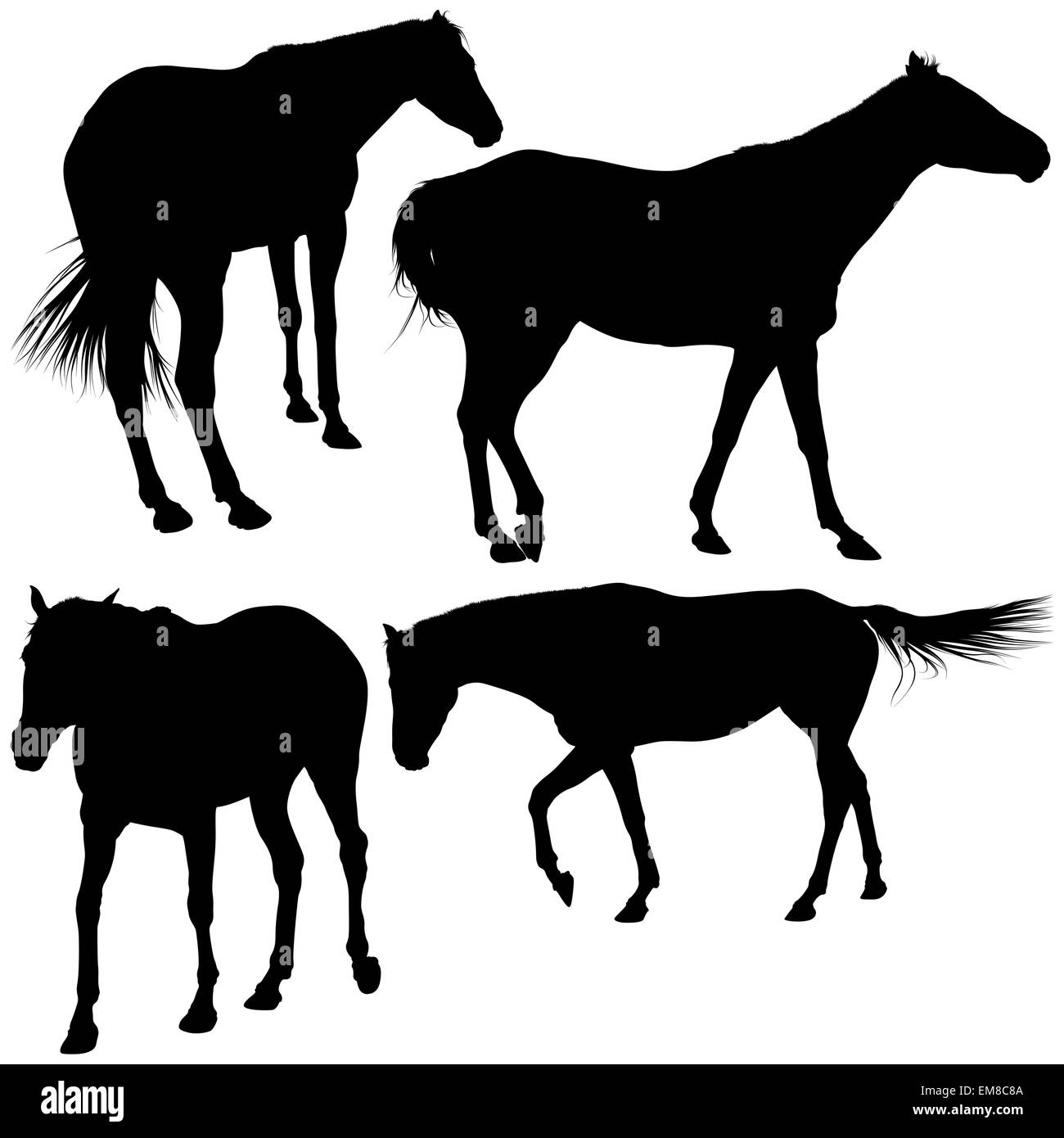 Sagome di cavalli Illustrazione Vettoriale