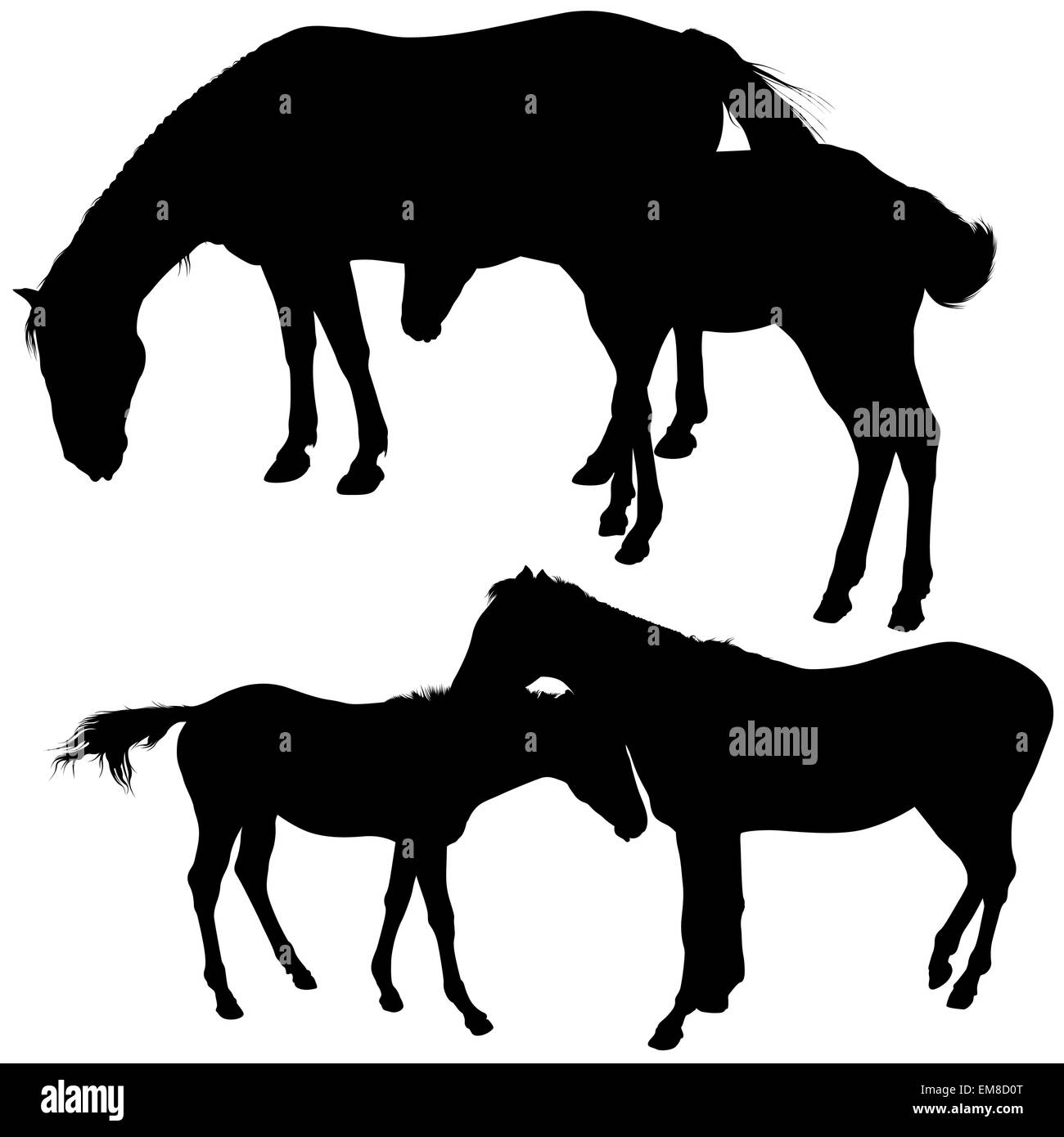 Sagome di cavalli Illustrazione Vettoriale
