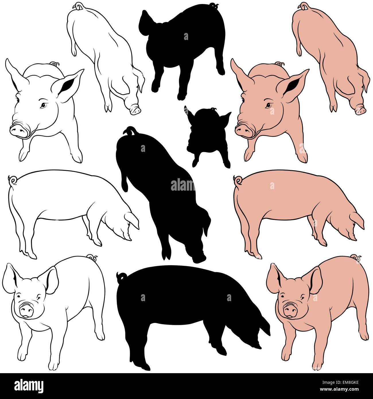 Collezione di maiale Illustrazione Vettoriale